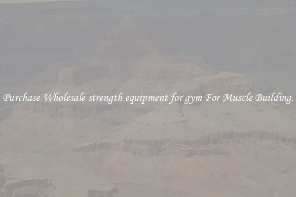 Purchase Wholesale strength equipment for gym For Muscle Building.