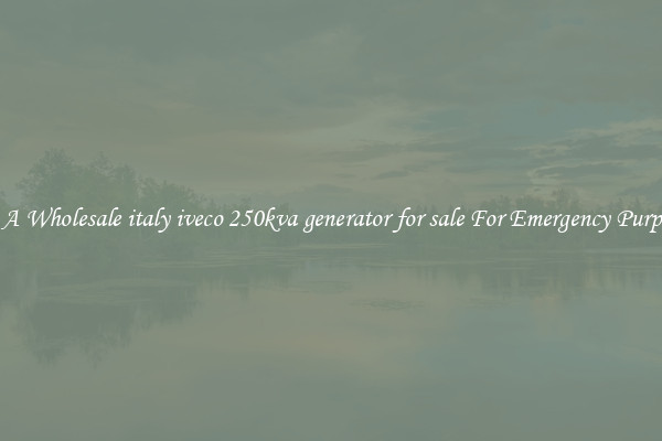 Get A Wholesale italy iveco 250kva generator for sale For Emergency Purposes