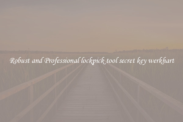 Robust and Professional lockpick tool secret key werkhart