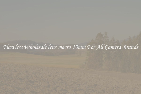 Flawless Wholesale lens macro 10mm For All Camera Brands
