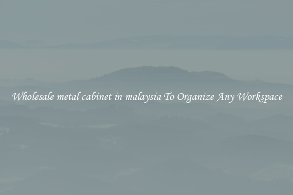 Wholesale metal cabinet in malaysia To Organize Any Workspace