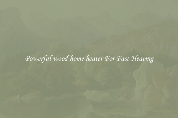Powerful wood home heater For Fast Heating
