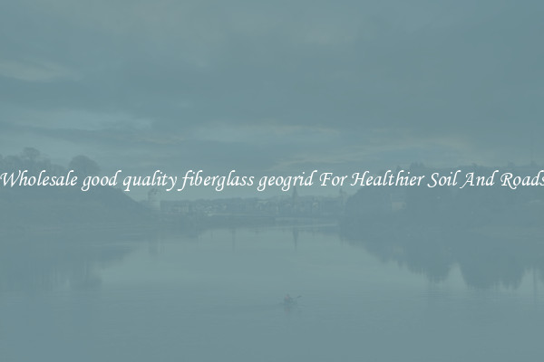 Wholesale good quality fiberglass geogrid For Healthier Soil And Roads