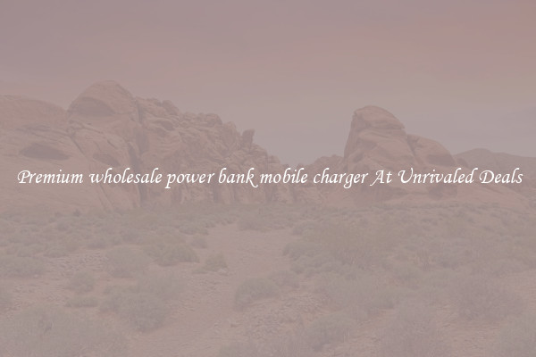 Premium wholesale power bank mobile charger At Unrivaled Deals