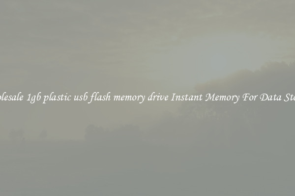 Wholesale 1gb plastic usb flash memory drive Instant Memory For Data Storage