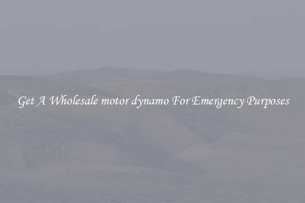 Get A Wholesale motor dynamo For Emergency Purposes