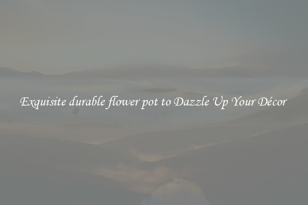 Exquisite durable flower pot to Dazzle Up Your Décor 