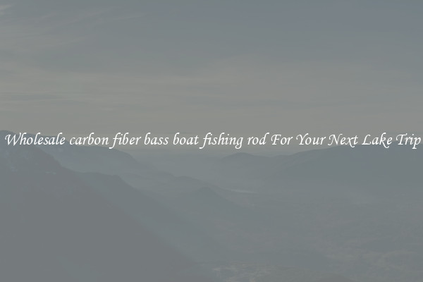 Wholesale carbon fiber bass boat fishing rod For Your Next Lake Trip