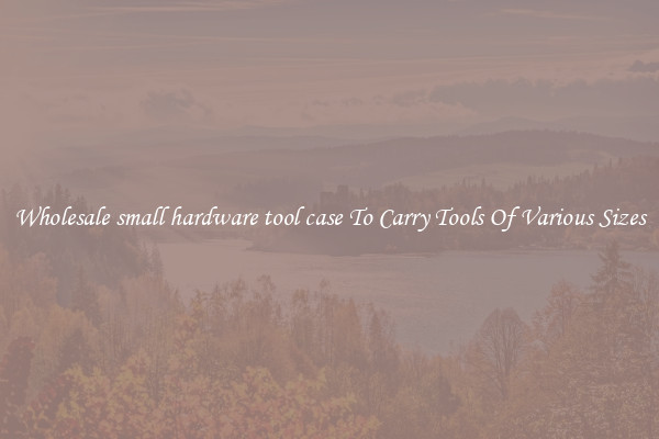 Wholesale small hardware tool case To Carry Tools Of Various Sizes