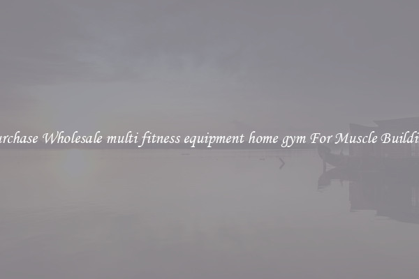 Purchase Wholesale multi fitness equipment home gym For Muscle Building.